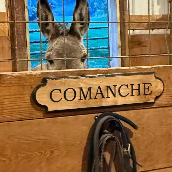 Custom Engraved Rustic Wooden Door Sign Personalized Text Name Plaque Farm Stable Tack Room Barn Front Wall Hanging Decor