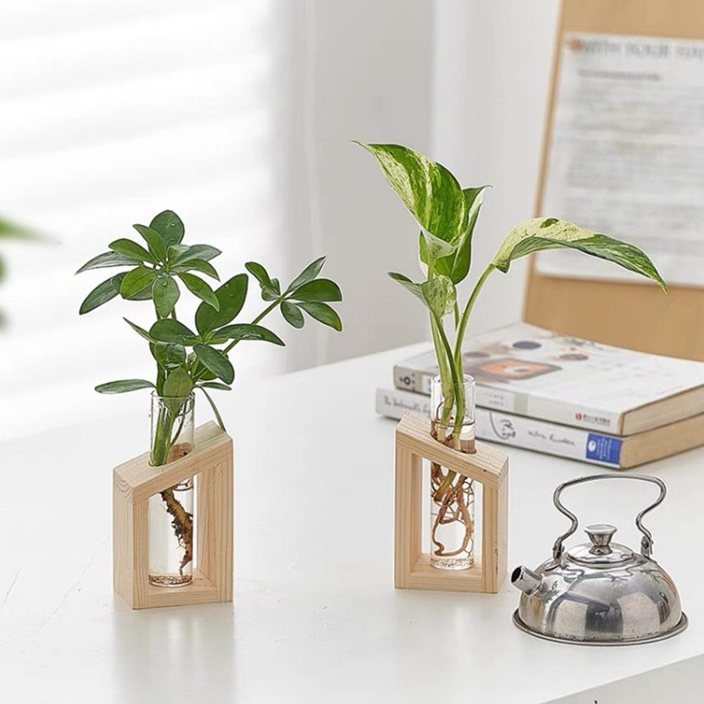 Test Tube Glass Vase Plant Propagation Station Hydroponic Vases for Plants with Wooden Stand Terrarium Office Home Desktop Decor