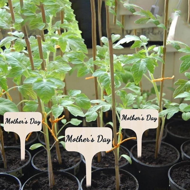 QX2E Plant Identification Garden Marker Cards Plant Sign Labels Labels for Garden Plant