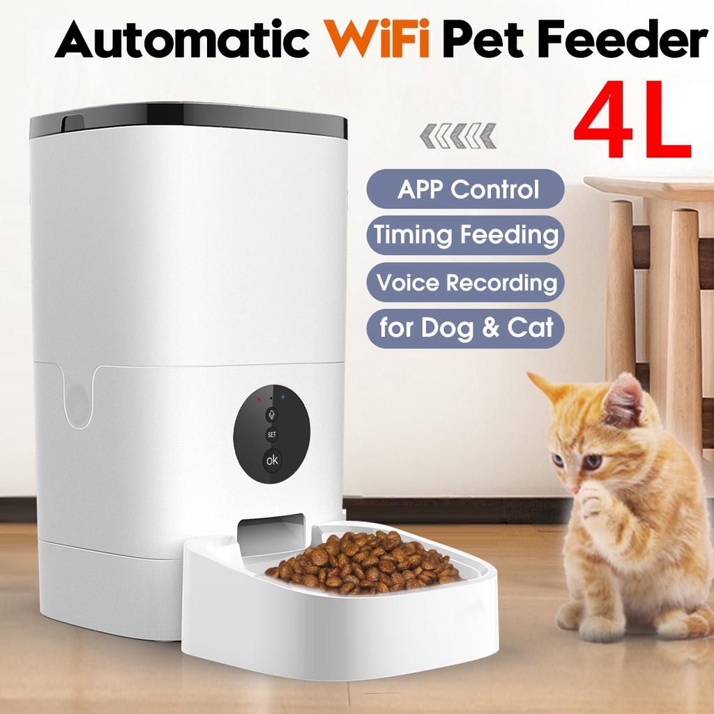 cat feeder app