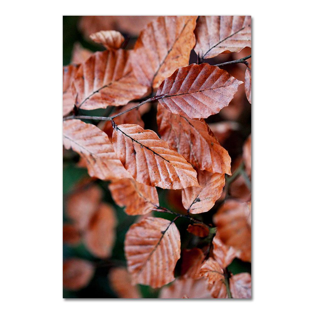 

Картина плакаты на скандинавскую тему и принты на холсте, картины для декора гостиной, осеннее горное дерево, лист тростника, пшеницы, настенное искусство, холст