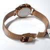 Used [New] SKAGEN SKW2151 mesh band