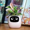 Smart Flower Pot AI Adorable Intelligent Smart Planter Robot with Expression Clock Sensors for Indoor Desk Decoration