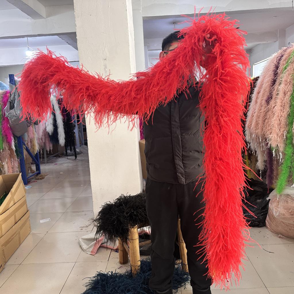 DIY 1/2/3/6/10 Ply Natural White Ostrich Feathers Boa Trim for Craft Wedding Party Festival Clothing Decoration Plumes Shawl 2M