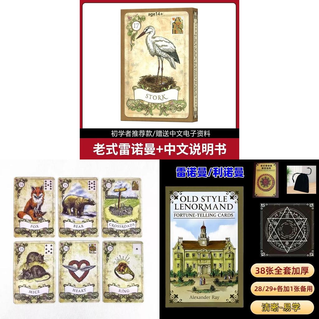Jeu de Cartes Anglais Renouard Style Ancien Avec Casse-têtes Pour le Plaisir en Famille