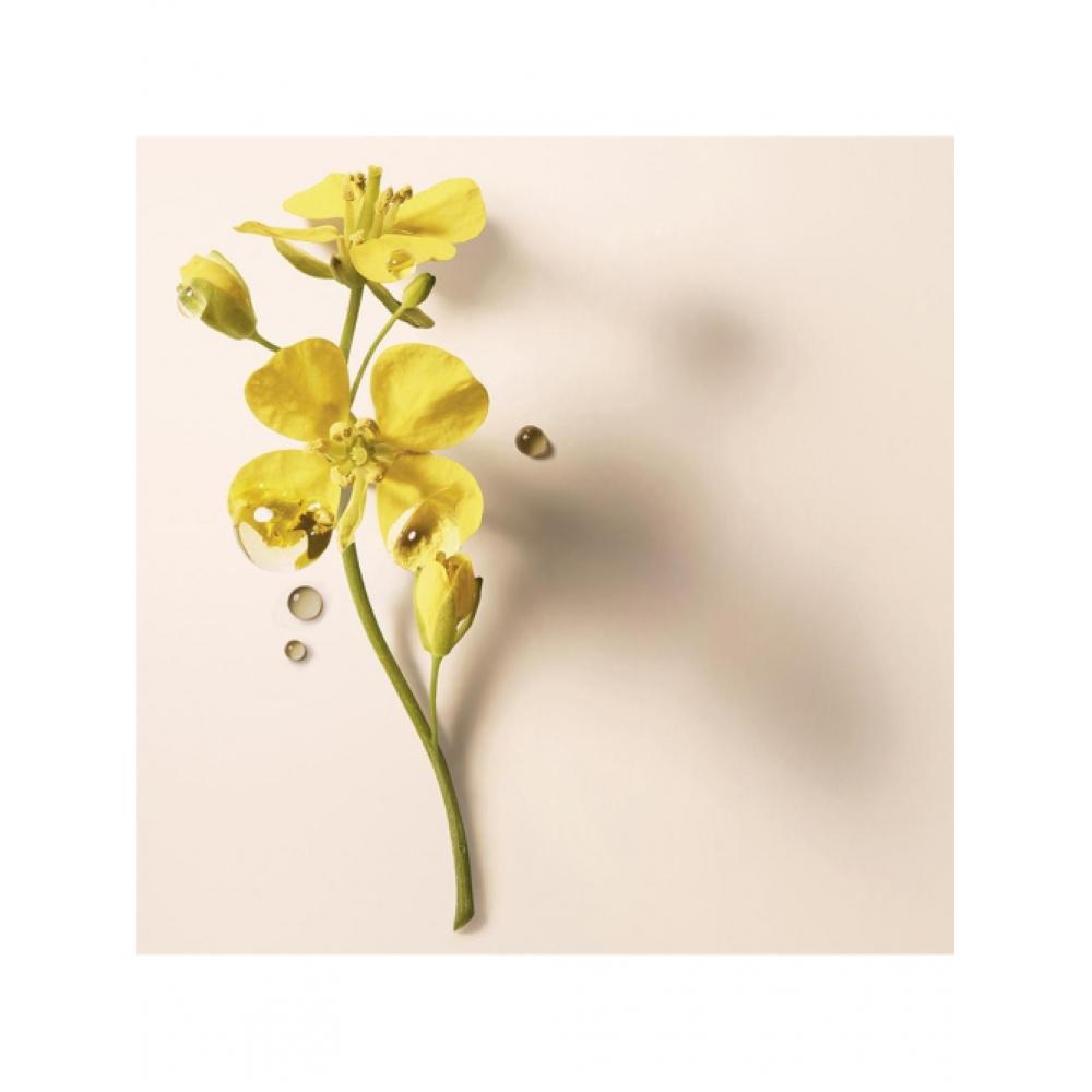 Rene Furterer Absolu Keratin Repair Maske 200ml