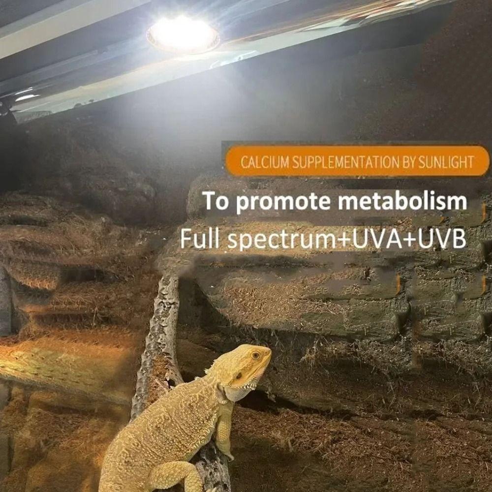 LED Reptile Light Bulb Full Spectrum 5.0/10.0 E27 Terrarium Lamp UVA UVB Lighting Small Pet Heating Bulb Night Vision
