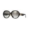 Irregular Shape Sunglasses Women's Black LW40080u