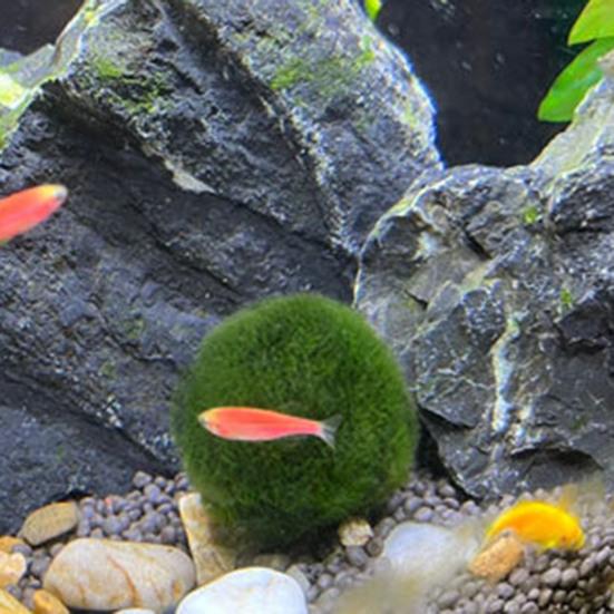 Fish Tank Landscaping Beautiful Shape Safe Pollution-free Simulated Fine Workmanship Decoration Props Resin Green