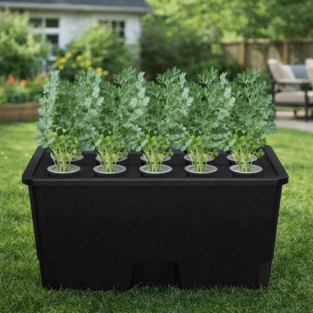Thicken Hydroponic Box Plastic Planting Container Practical Germination Tray  Indoor Gardening