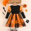 Toddler Girls Long Sleeve Halloween Dress with Pumpkin Print Puffy for Party