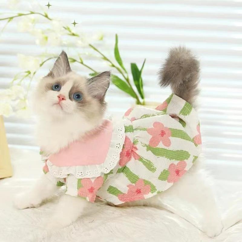 

Cat clothes summer skirt pet kitten kitten British short cute gradient thin ragdoll cat summer anti-hair loss XS chest 30 back 20 about 1-1 kg