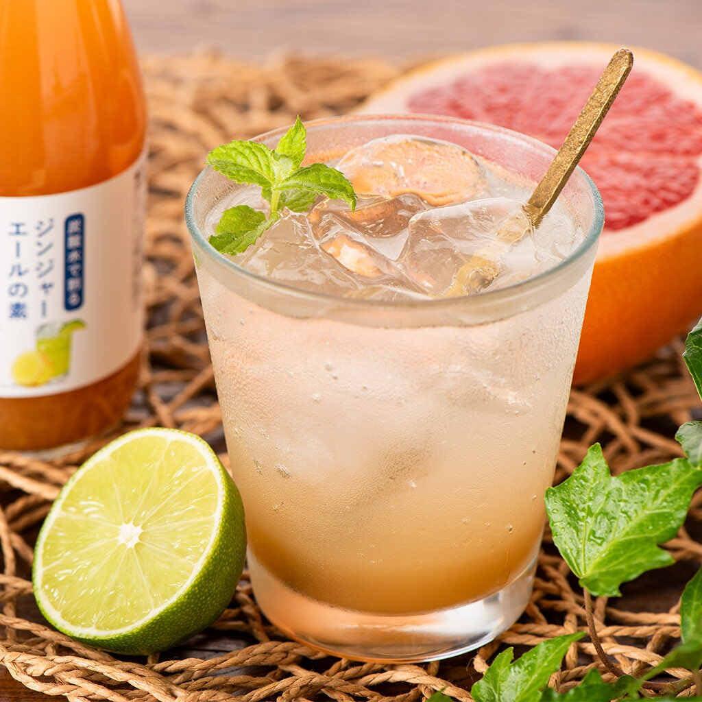 Kuzefuku ginger ale base 290ml x 2 pieces