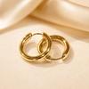 Gold-Plated Stainless Steel Round Wire Hoop Earrings: Fashionable, Light Luxury, Minimalist, High-End Feel Jewelry
