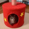 Christmas Tree Cat Tower 2-in-1 Scratching Post Cozy Cave Bed Space-Saving Cat Furniture for Small Cats