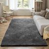 Indoor Plush Area Rugs, 1.52 X 2.44 M Soft Plush Carpet, Furry Shag Area Rugs for Living Room, Bedroom, Sunroom, Modern Home Decor Aesthetic,