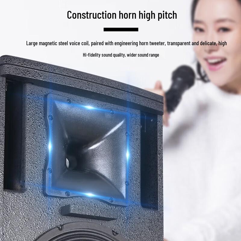 Huidu Professional Audio Speakers for Conference & Stage (CN version)