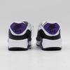 DH8010-110 Nike Air Max 90 White Black Wolf Grey Iron Grey (Women's)