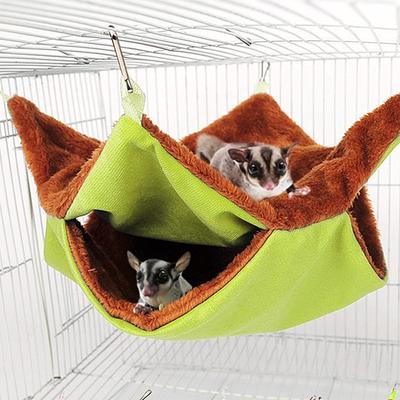 Djur – Gnagare