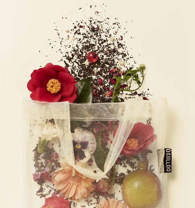 OSULLOC "Spring Has Come" Seasonal Tea Set – Limited Edition Spring Tea Collection