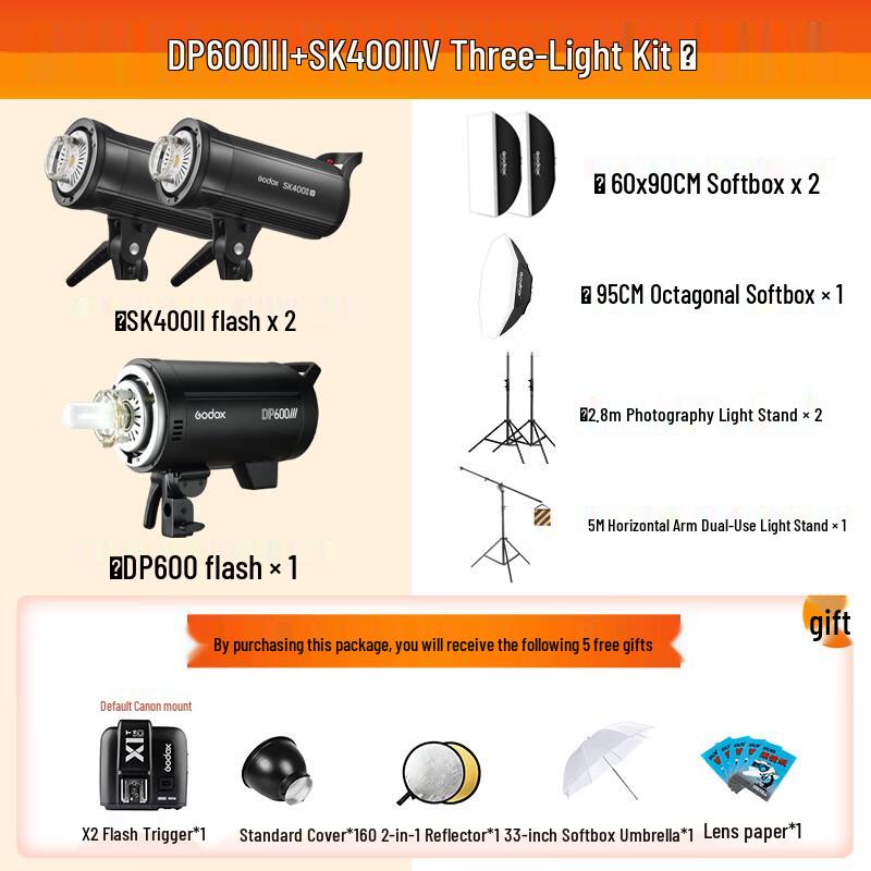 Godox SK400IIV & DP600III Studio Flash Kit