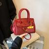 IELGY Ladies Messenger Bag Autumn Winter Retro Merad Brown Bag