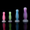 New Nighttime Lightable Coloured Silicone Anal Plugs Female Masturbators Adult Erotic Sex Toys