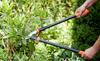 KADAX Pruner Scissors For Branches Hedge Garden 74cm Shrubs Manual Long