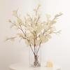 Autumn Colors Eucalyptus Dried Flower Ornaments for Living Room or Dining Table