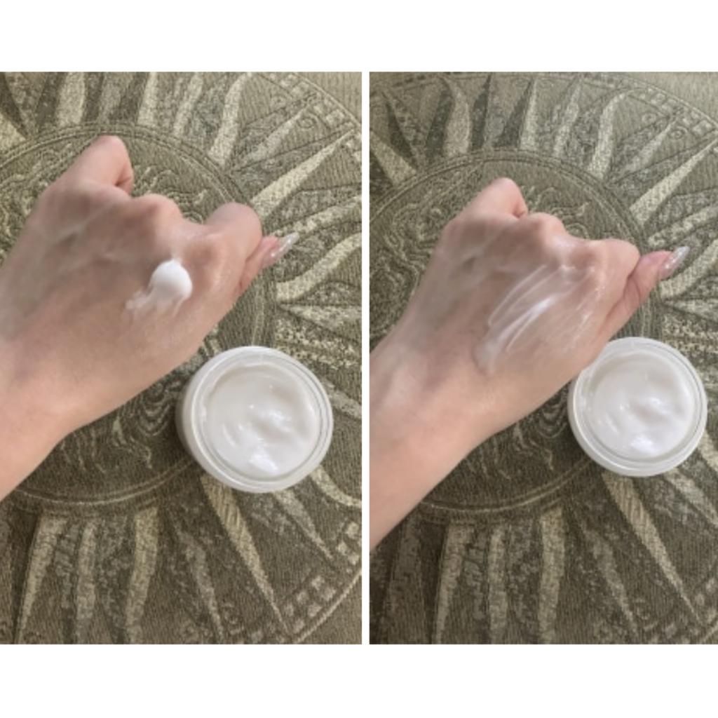 [BELLMONA] Stem Cell Cream Rich and Hydro Cream 100ml + Bio Signal Eye Cream 40ml Gift