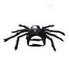 Realistic Cat Spider Outfit Skull Face Design Pet Spider Costume  for Prank Prop