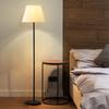 Modern LED Floor Lamp with Remote - Warm Ambient Light for Living Room, Bedroom, Bedside, and Streaming Background.