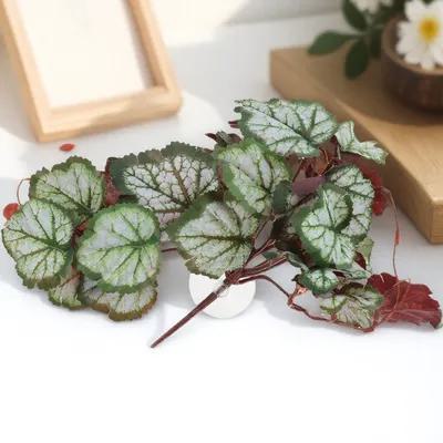 Künstliches Hängendes Blattornament Reptilienbecken Dekoration Lebensecht Kletterpflanze Natürliches Terrarium Versteck Simulation Grüne Pflanze