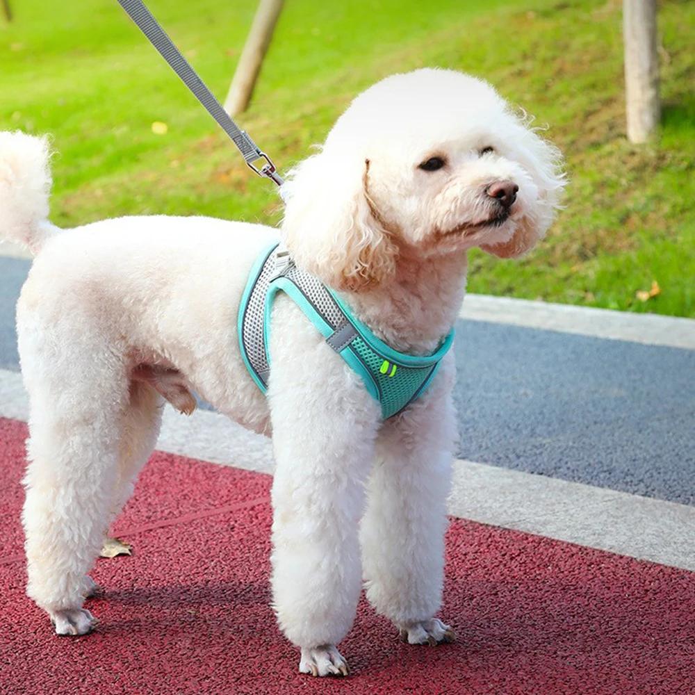 Haustier Katze Hund Geschirr Weste Brustseil Set Reflektierend Atmungsaktiv Verstellbar Haustiergeschirr Kätzchen Halsband für Kleine Mittlere Hunde Katzen