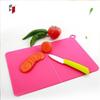 ZISIZ Portable Plastic Cutting Board