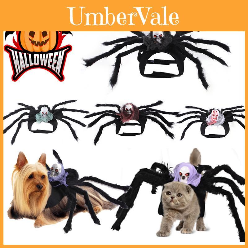 Halloween Pet Dog Cat Simulation Skull Black Spider Costume