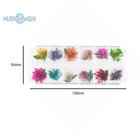 1 boks 10g tørket blomst negldekorasjon 12 farger Naturlig blomsterblandet tørrblomst DIY smykker Charms Manikyr dekor UV Gel Polish Nail Art Supplies