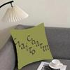 Charm Singer C-Clairo Cushion Cover Pillowcase Ultra Soft Skin Friendly Fabric Cloud Like Comfort & Concealed Zipper