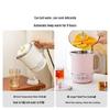 Buydeem TK66 0.6L Smart Travel Electric Kettle