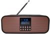 Портативное Радио Scansonic PA8001