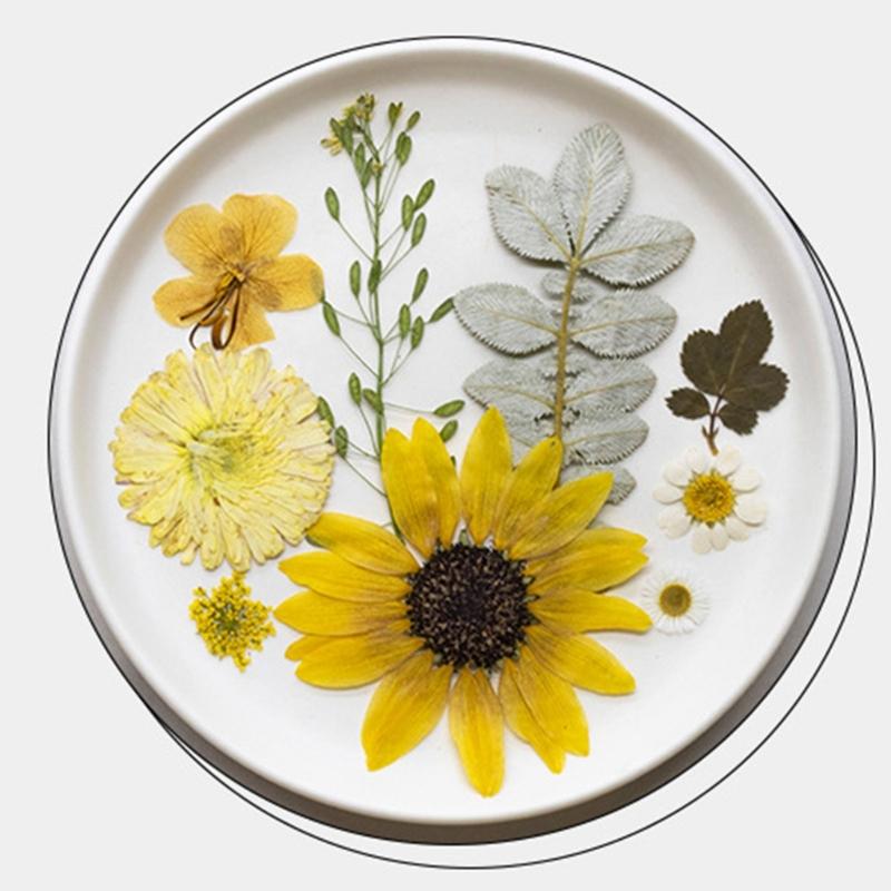 Natural Pressed Dried Flower For Epoxy Resin Dry Flowers and Leaves Set for Soap Candle Jewelry Making Scrapbooking