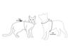 Gilet riflettente alla moda anti-fuga per animali domestici: Imbracatura e Guinzaglio Traspiranti per Cani e Gatti