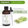 Naturalis Citronella ätherisches Öl – Natürliches Citronellaöl für Aromatherapie, Hautpflege, Haarbehandlung, Mückenschutz, Entspannung und Wel