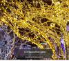 Outdoor Twinkling LED String Lights for Garden, Festival, Wedding, and Christmas Decoration