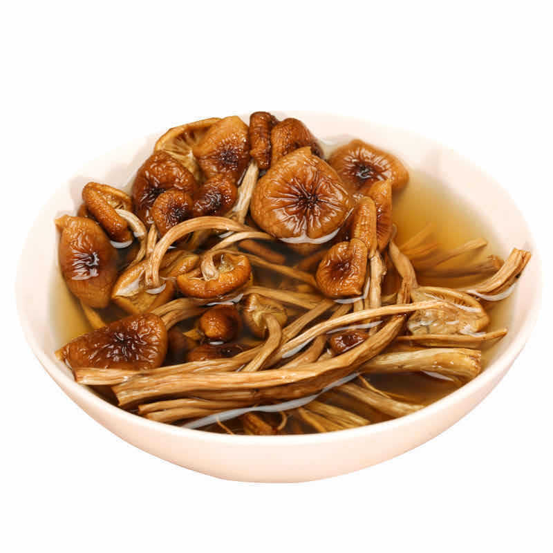 Funghi di Tè Essiccati 250g Agrocybe Cylindracea Erboristico Premium