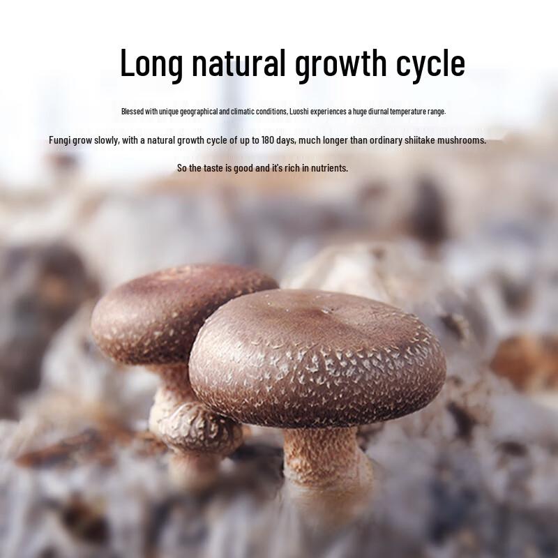 Guangwang Rongxin Lushi Dried Black Face Mushrooms