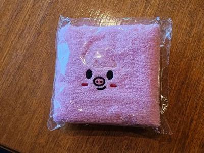 STRAY KIDS Skies Skiju Pig Changbin Fan Meeting Gift Towel Towel Towel