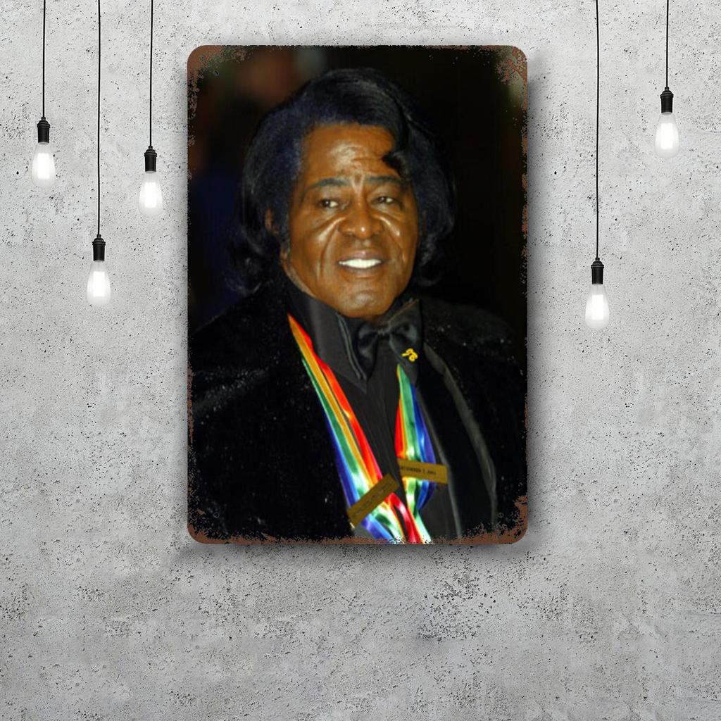 James Brown Metal Signs Wall Decor Vintage Tin Signs Captain Metal Poster Decor for Bar Pub Club Wall Decoration
