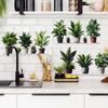 Painted Green Plant Potted Plants Bedroom Living Room Home Wall Background Beautification Decorative Wall Stickers