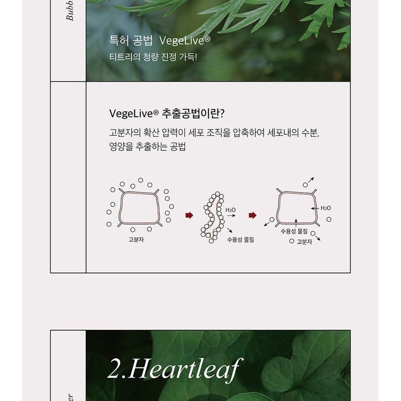 mixsoon - H.C.T Bubble Cleanser